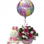 FOR THE LITTLE PRINCESS