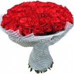 101 red roses !!!! 